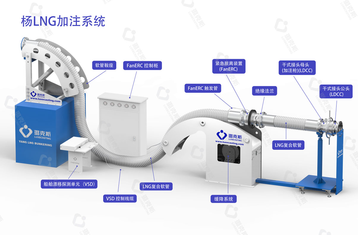 杨LNG.jpg